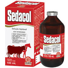 SEDACOL INY 100ML UND (SORBITOL)