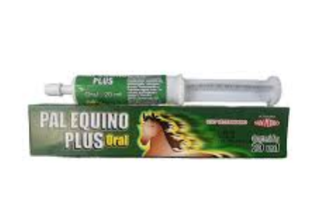 PASTA ORAL PAL EQUINO 20ML UND 