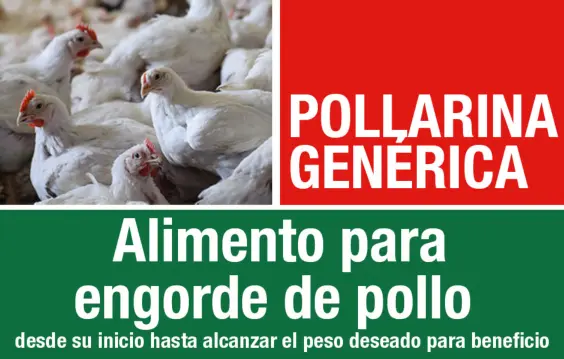 ALIMENTO PROTINAL POLLARINA G 35Kg 