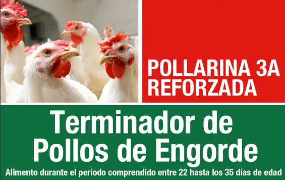 ALIMENTO PROTINAL POLLARINA 3A 40Kg 