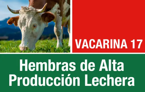 ALIMENTO PROTINAL VACARINA 17 40KG