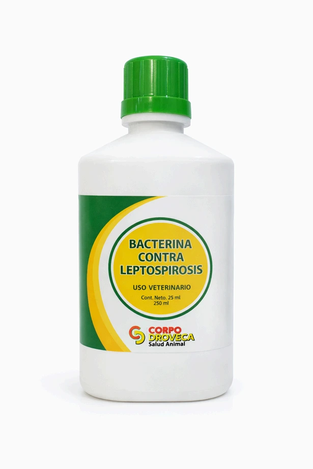 BACTERINA CONTRA LEPTOSPIROSIS 50 DOSIS 250ML