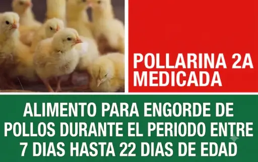 ALIMENTO PROTINAL POLLARINA 2A 40Kg 